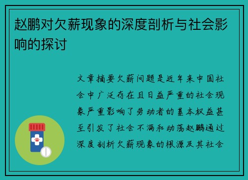 赵鹏对欠薪现象的深度剖析与社会影响的探讨
