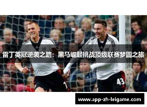 雷丁英冠逆袭之路：黑马崛起挑战顶级联赛梦圆之旅