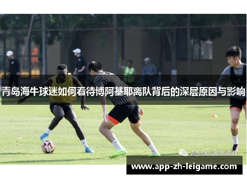 青岛海牛球迷如何看待博阿基耶离队背后的深层原因与影响