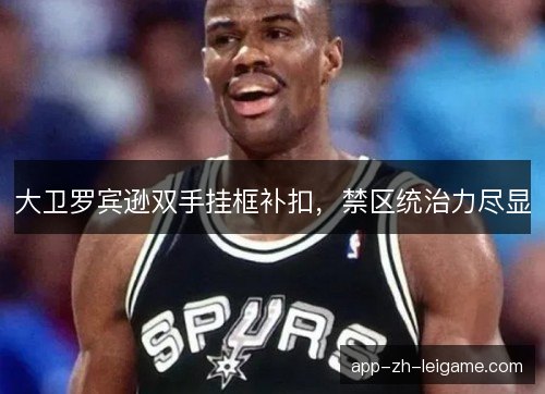 大卫罗宾逊双手挂框补扣，禁区统治力尽显